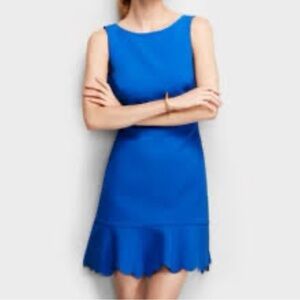 J. Crew Vibrant Blue Scalloped V-Back Jewel Neck Dress Size 12